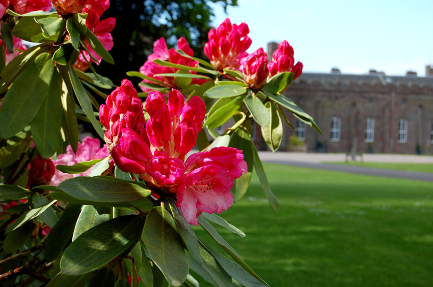 Scone Palace