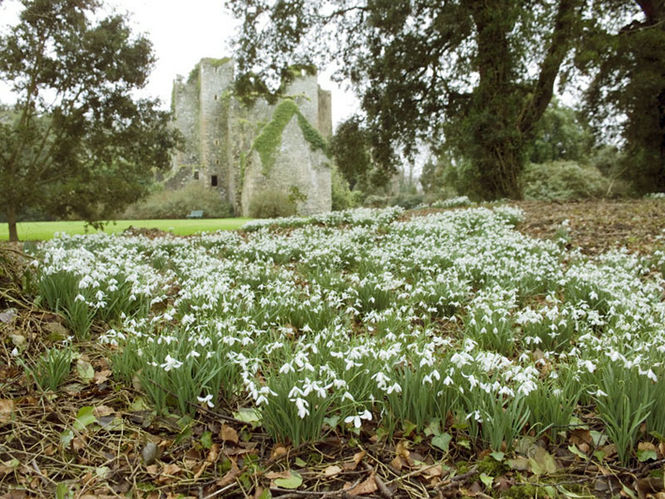 Castle Kennedy Gardens