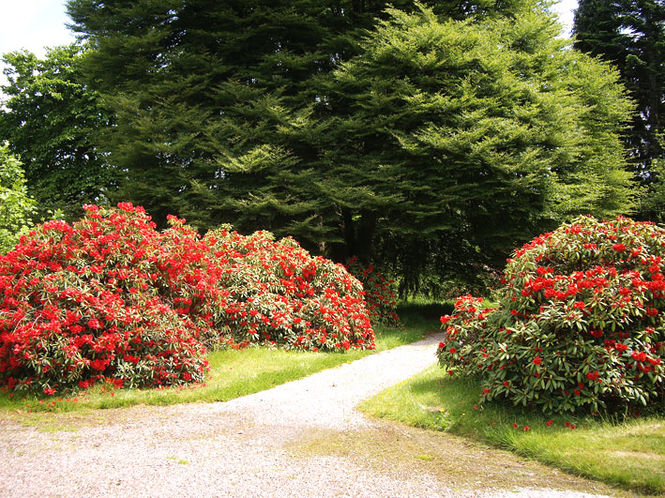 Inveraray Castle Gardens