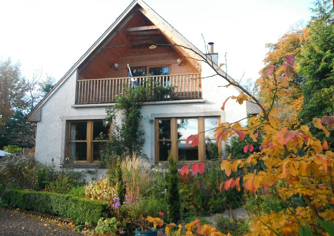Fernlea Garden