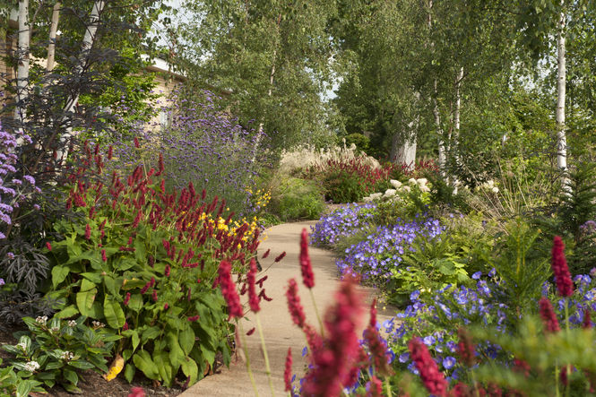 Horatio's Gardens ©Horatio's Garden