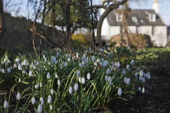 Shepherd House, East Lothian ©Shelia Sim