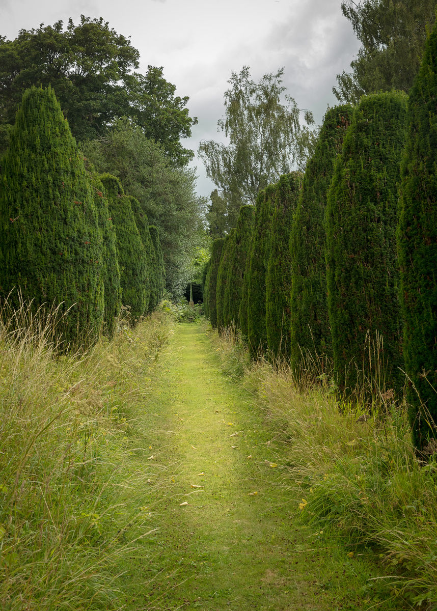 Kings Walk, Fingask Castle