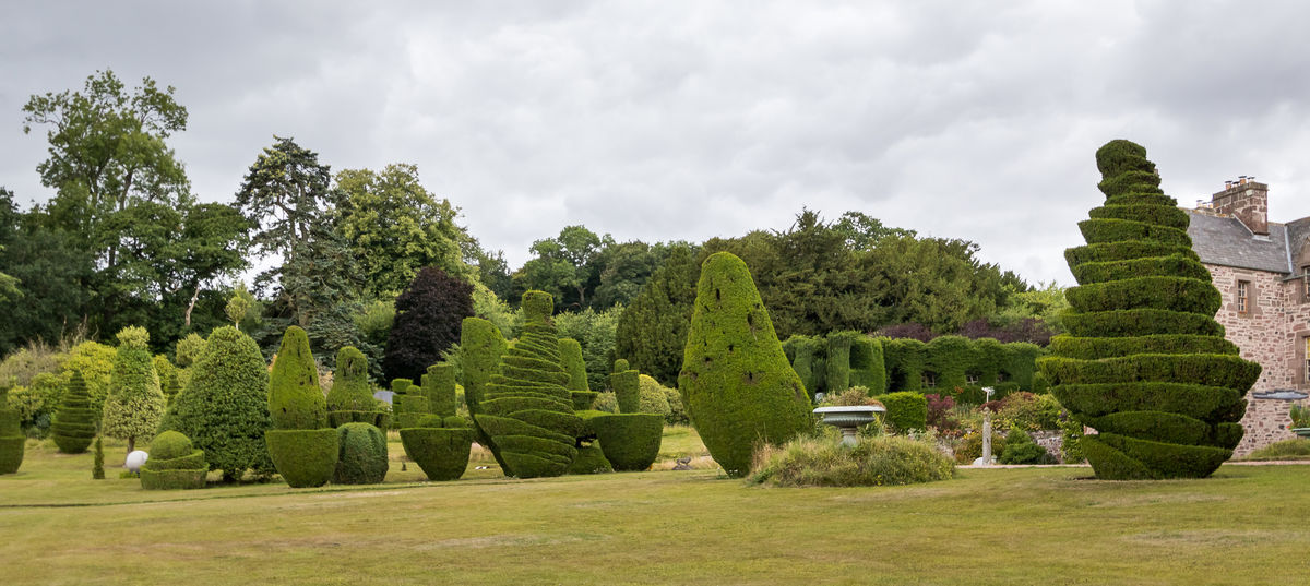 Fingask Castle Topiary