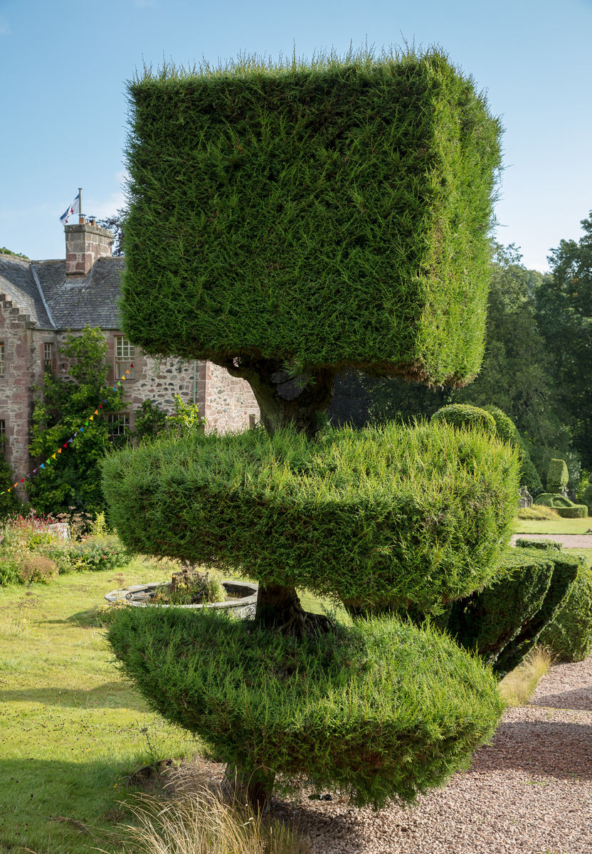 Topiary, Fingask Castle
