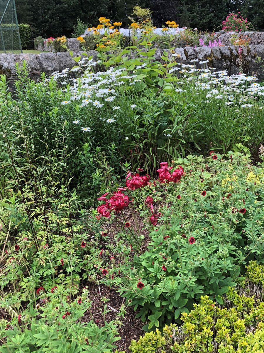 Grandhome walled garden