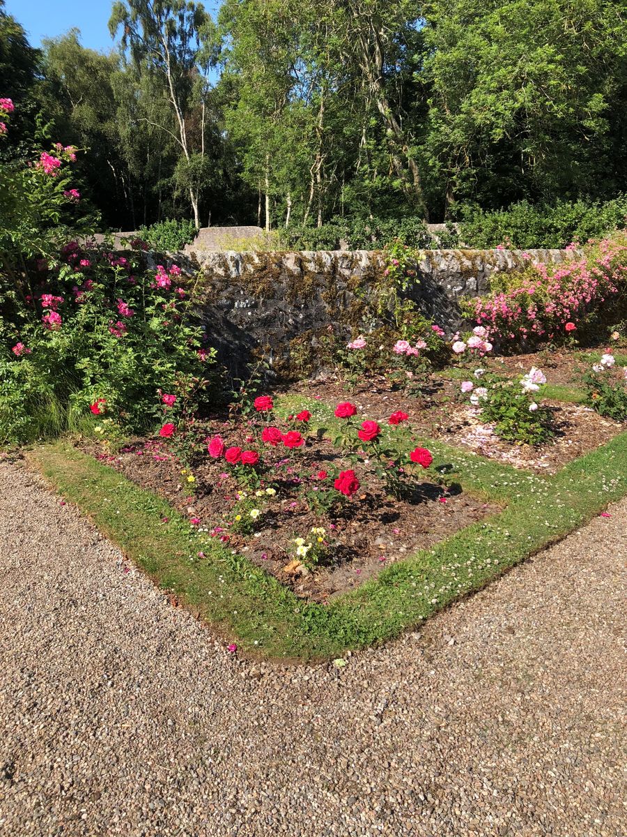 Grandhome rose garden