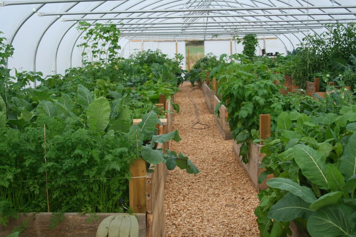 Tarland Community Garden