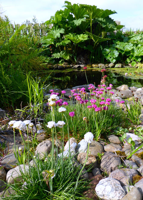 Auldbyres Farm Garden