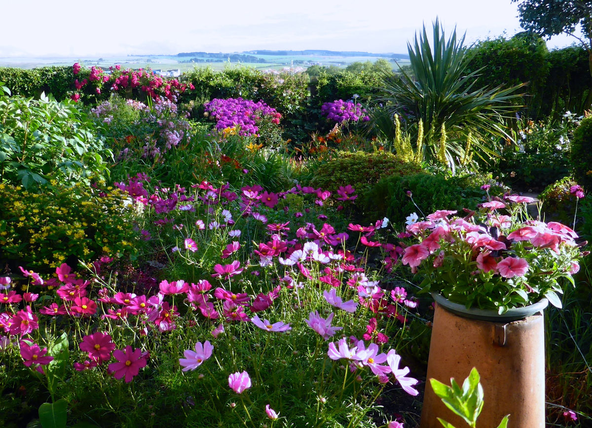 Auldbyres Farm Garden