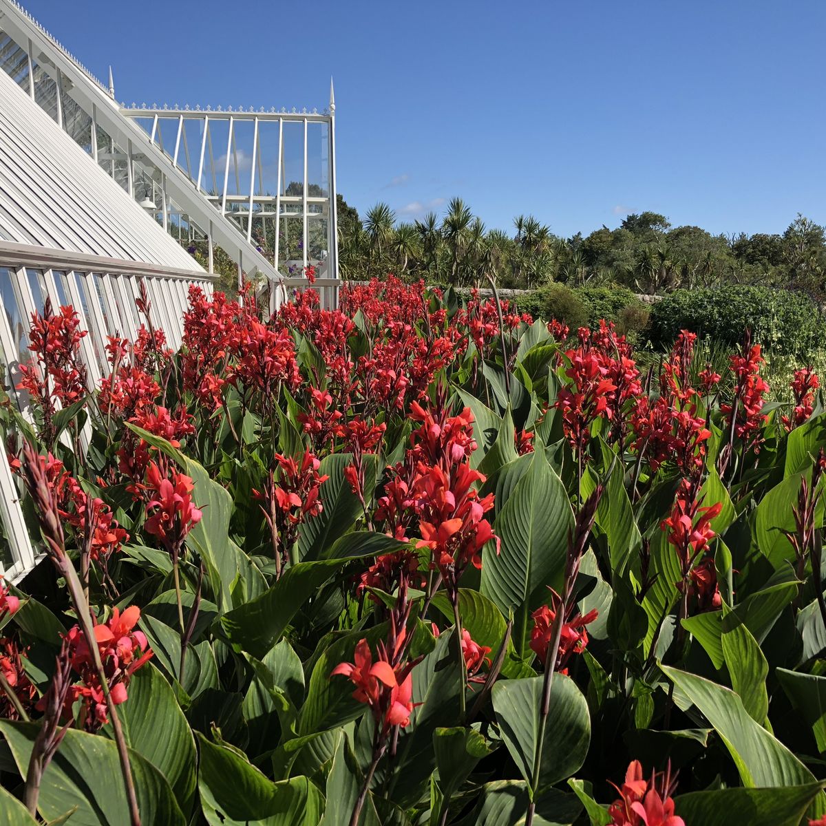 Logan Botanic Garden