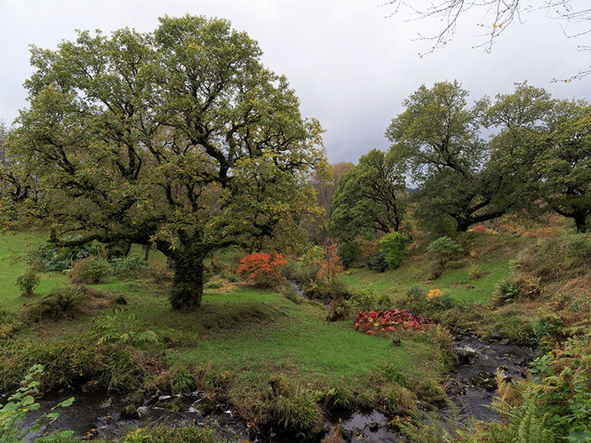 5746046104-braevallich-argyll-7-featured-web.jpg