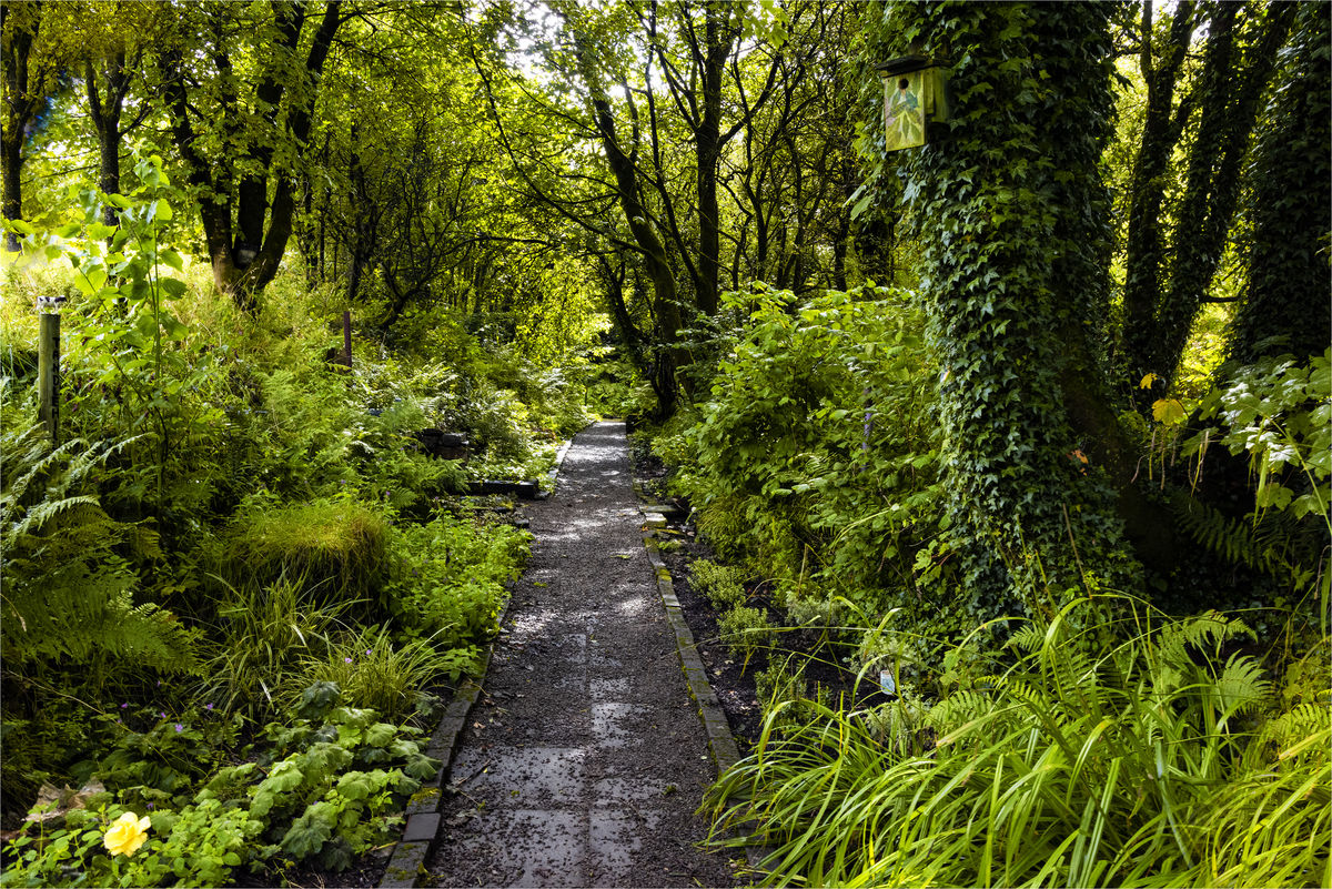 Barrmill Community Garden