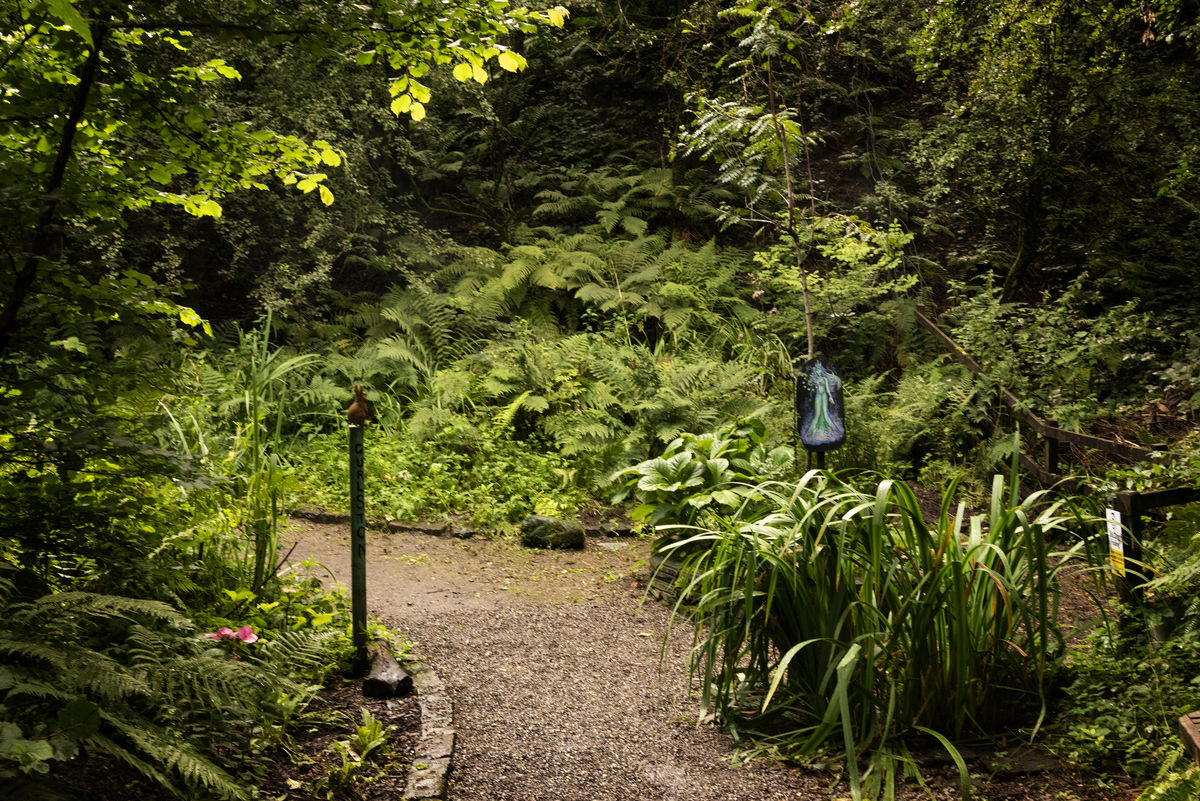 Barrmill Community Garden