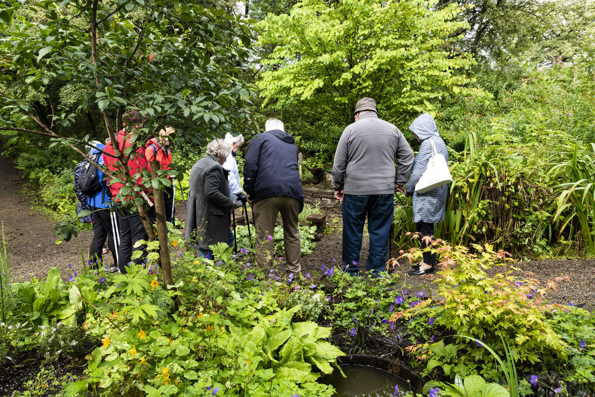 Barrmill Community Garden