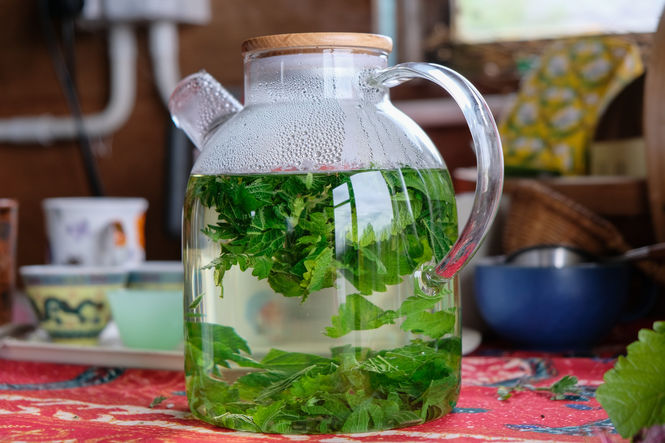 Gardens and Health Week 2019