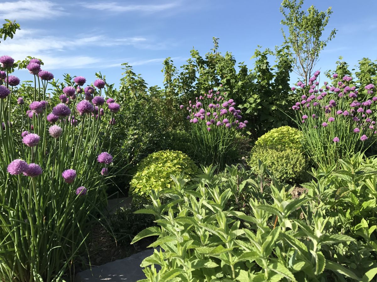 Heatherwick Farm