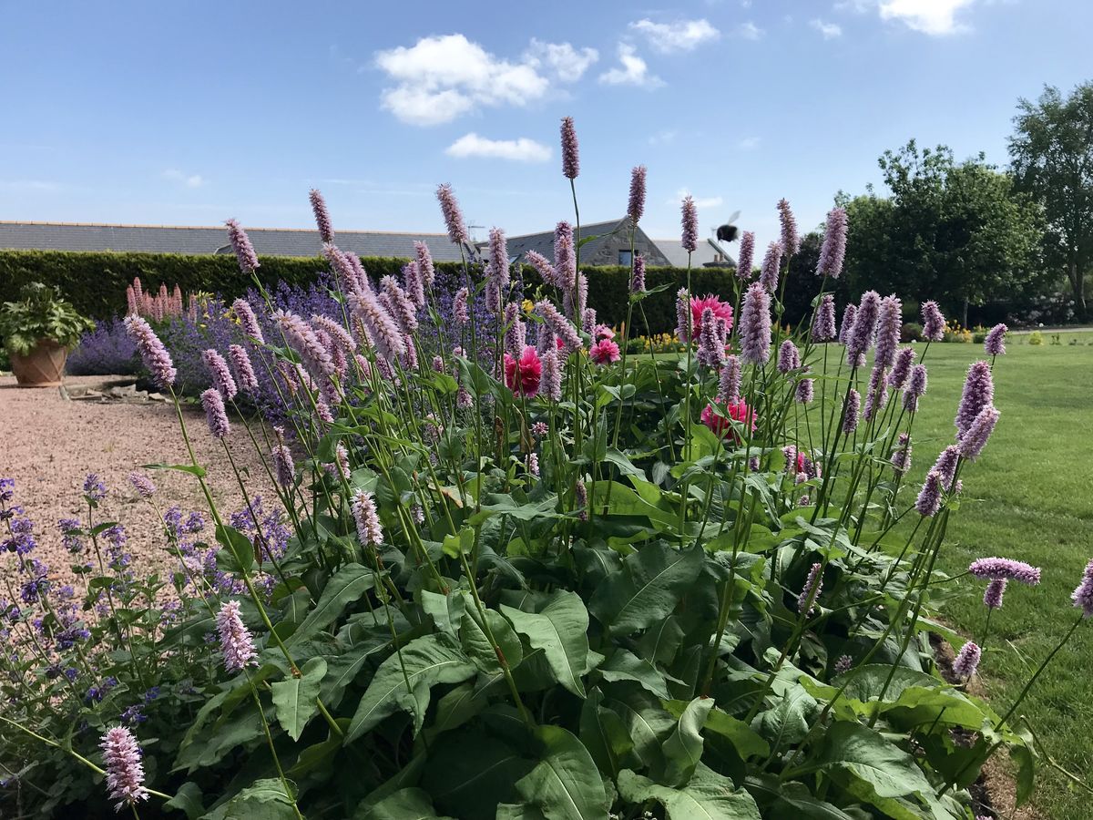 Heatherwick Farm