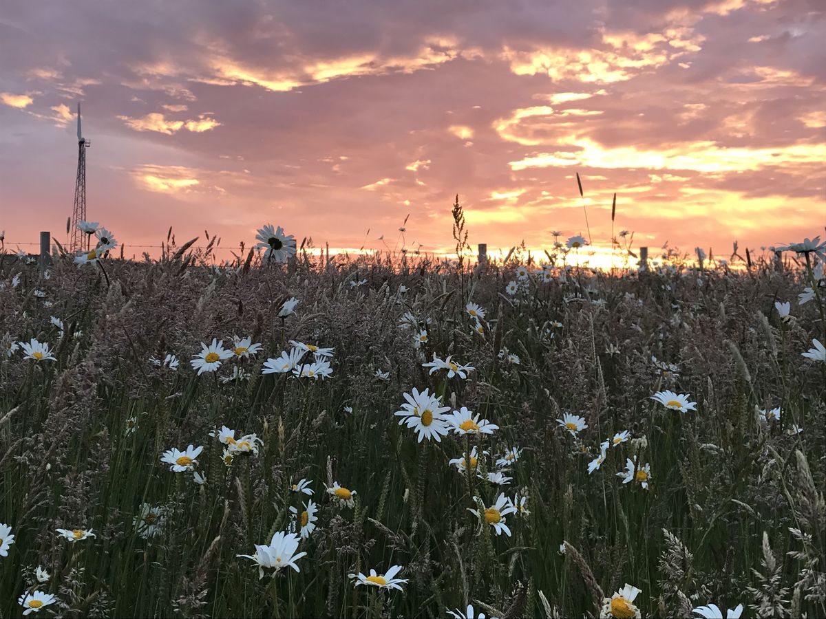 Heatherwick Farm
