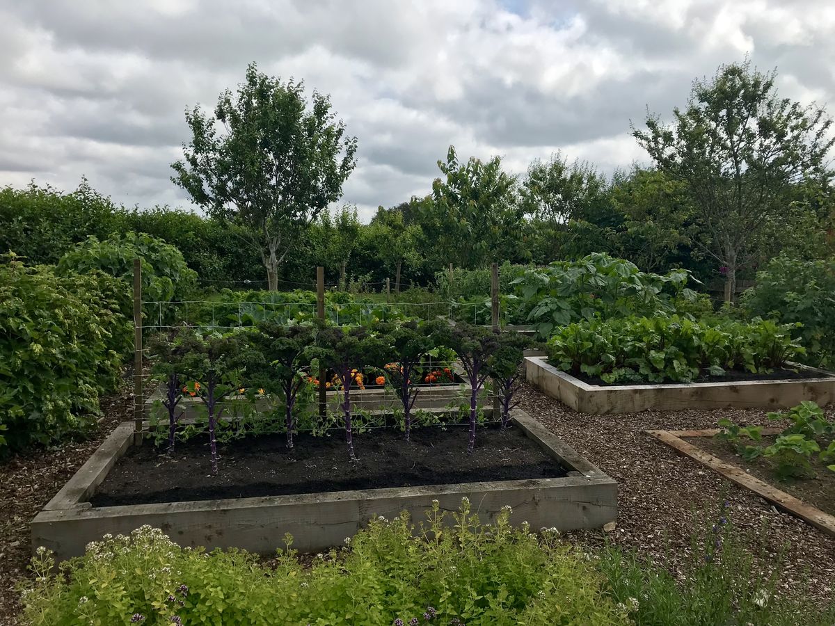 Heatherwick Farm