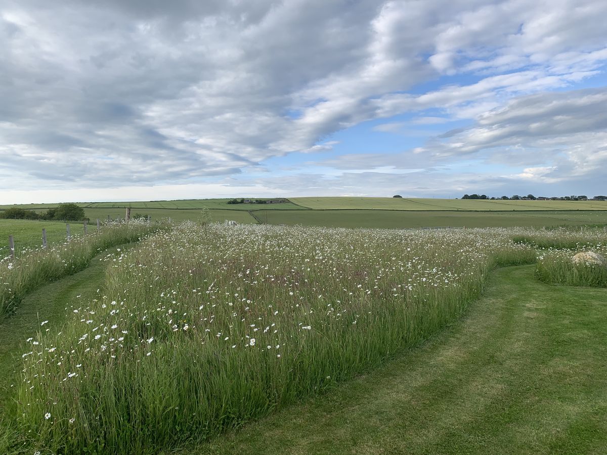 Heatherwick Farm