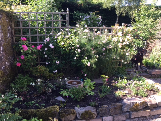 New Gardens Opening in July