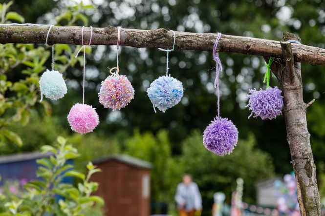 Craigentinny Telferton Allotments