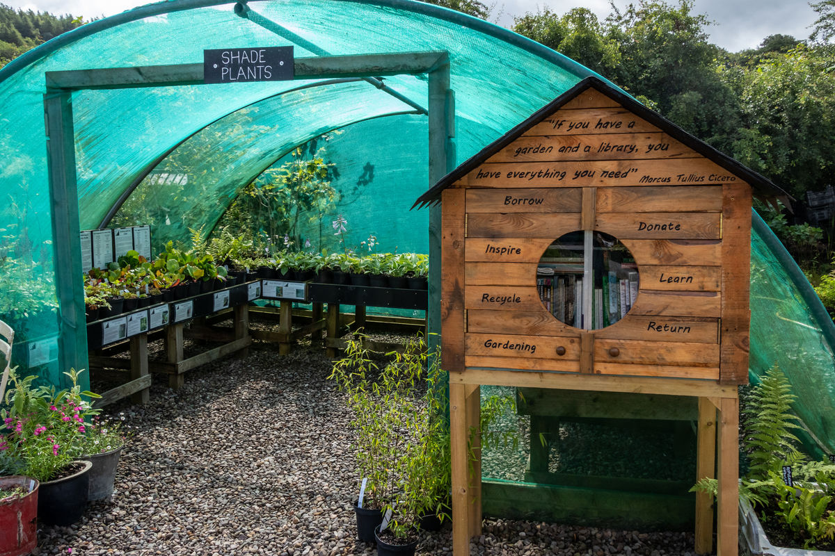 Quercus Garden Plants