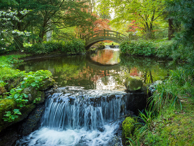 Stobo Japanese Water Garden