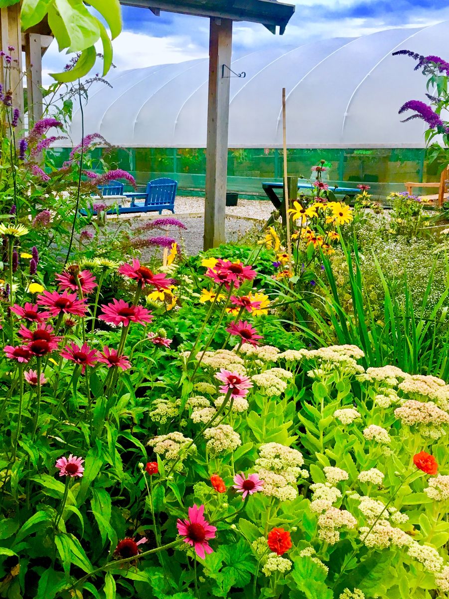 Tarland Community Garden