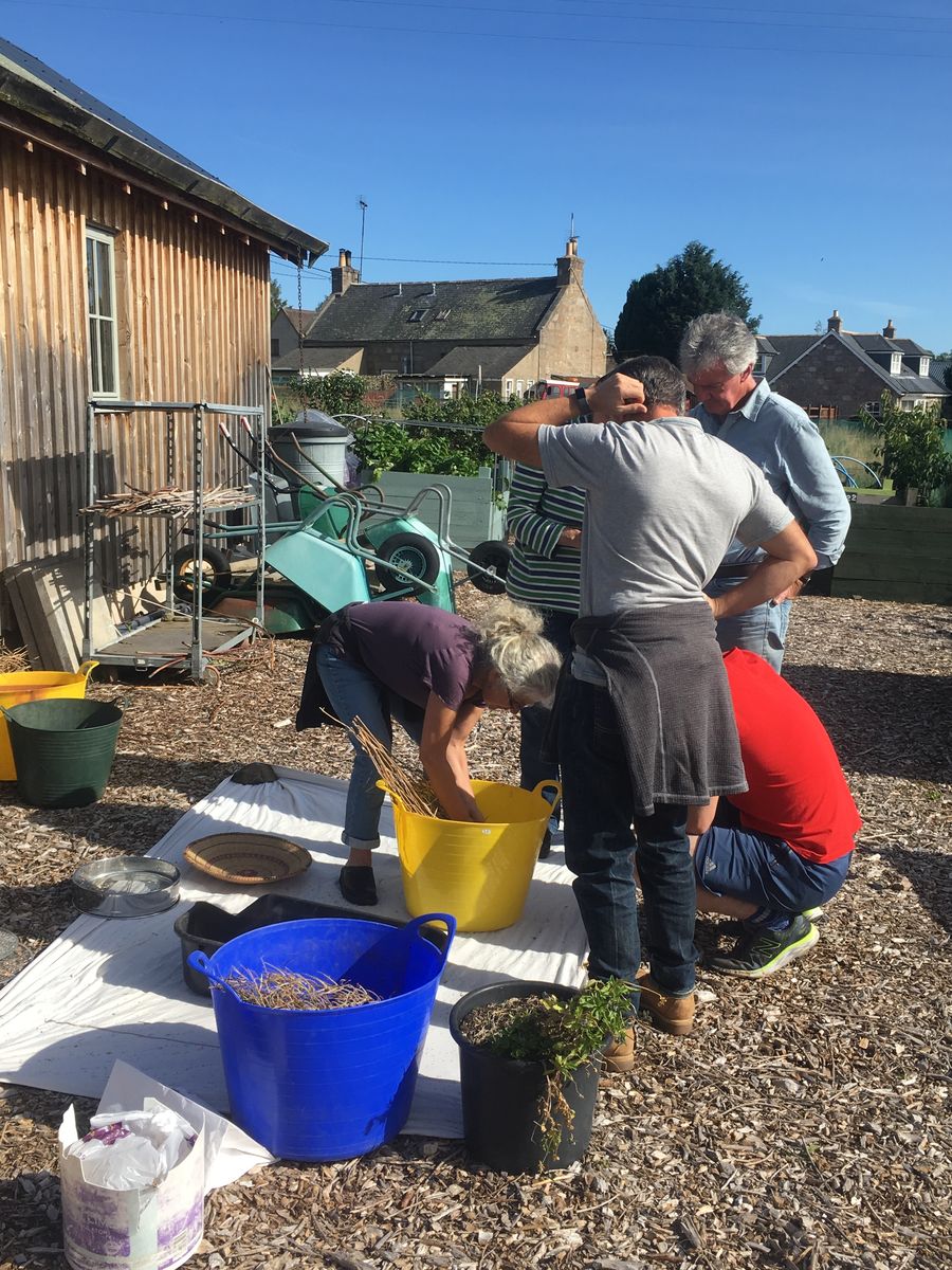 Saving seeds at Tarland Community Garden