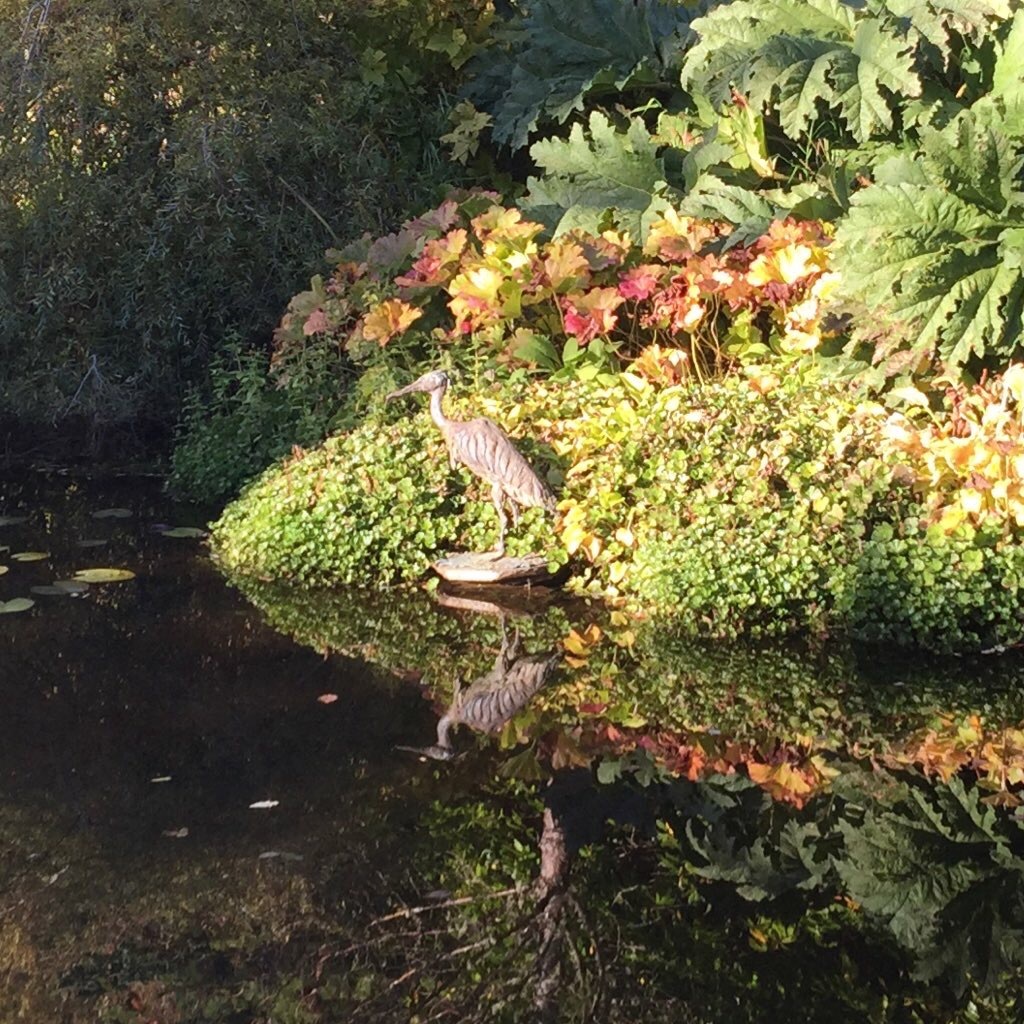 Attadale - reflections in the top pond 