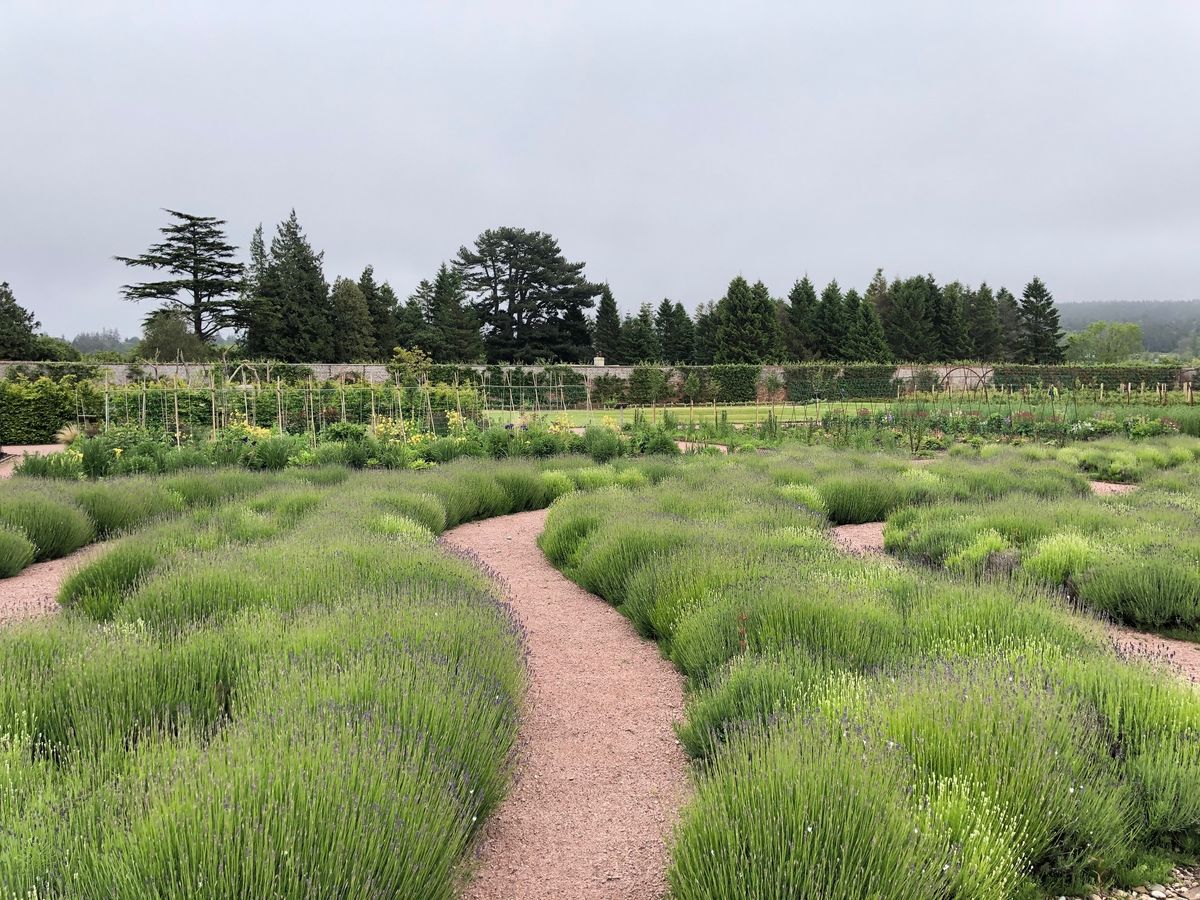 Gordon Castle Walled Garden