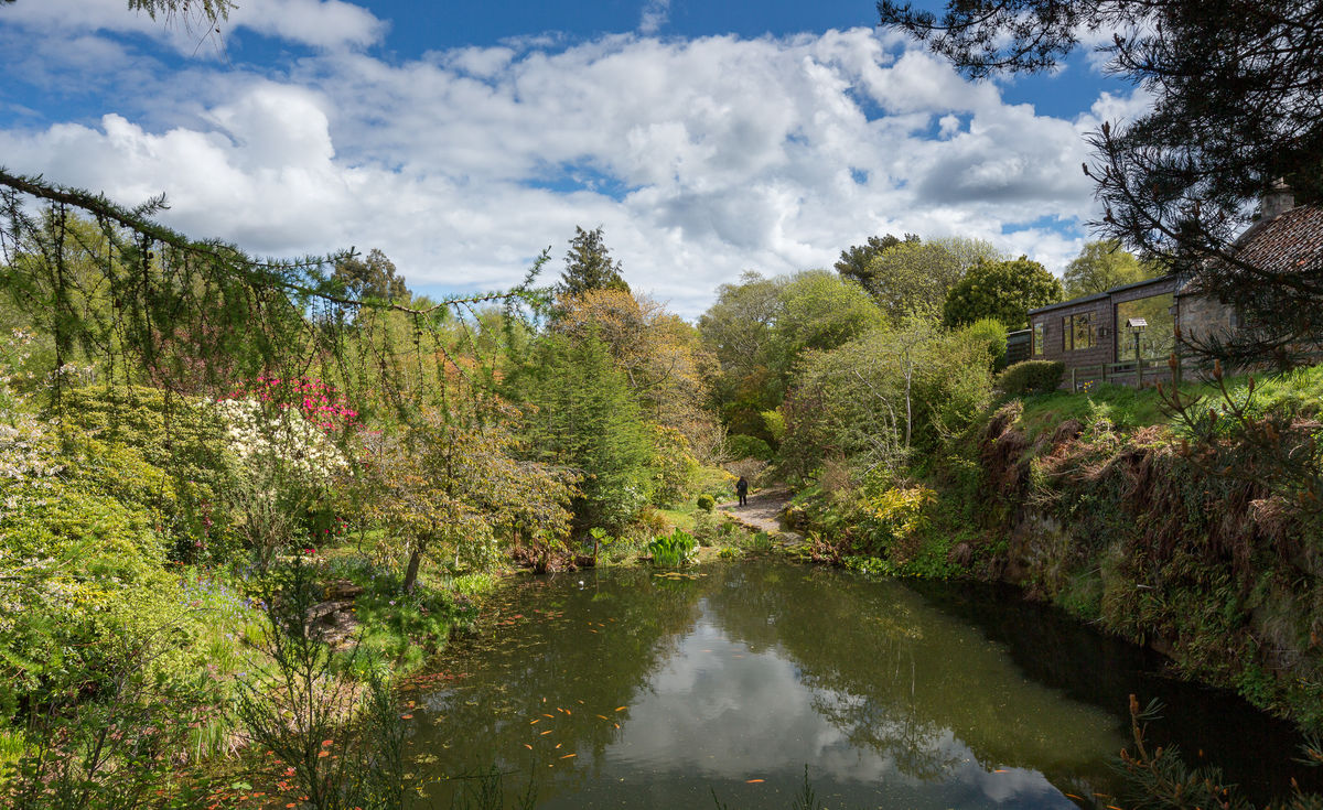 South Flisk flooded quarry looking east