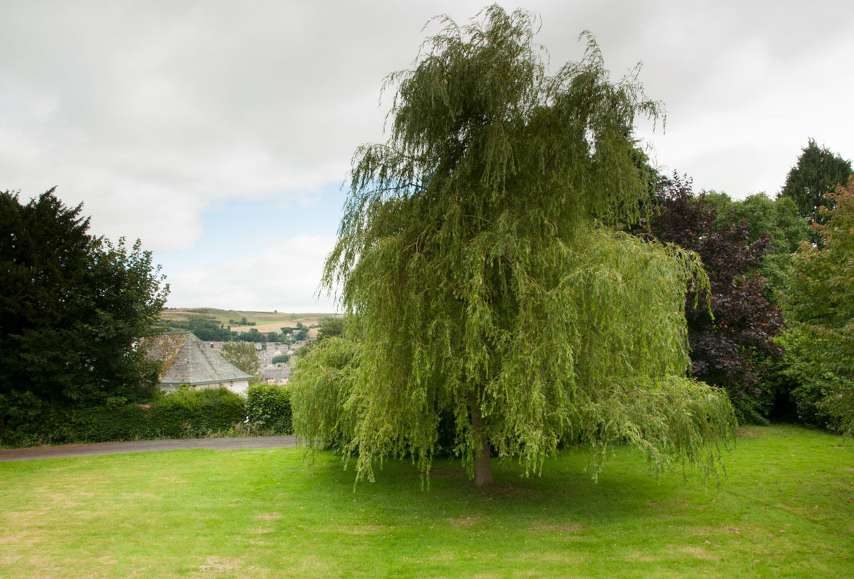 Summerfield West