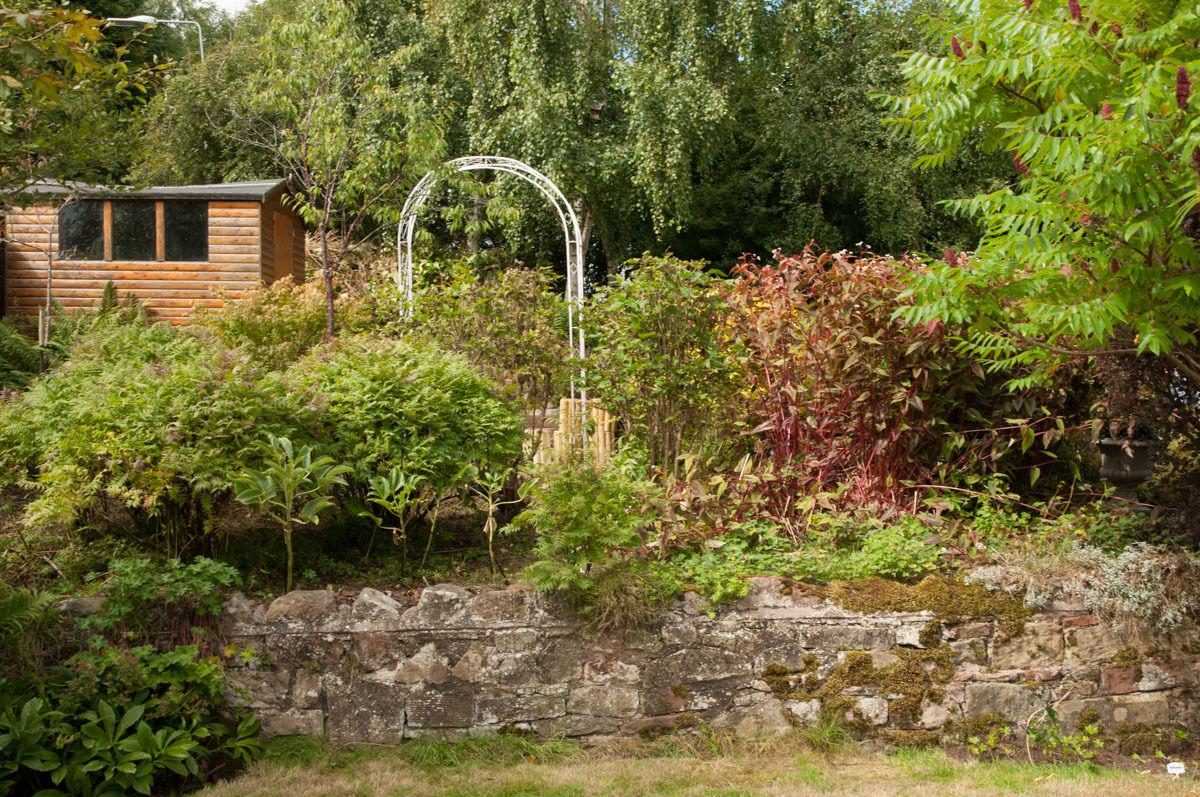 Summerfield West