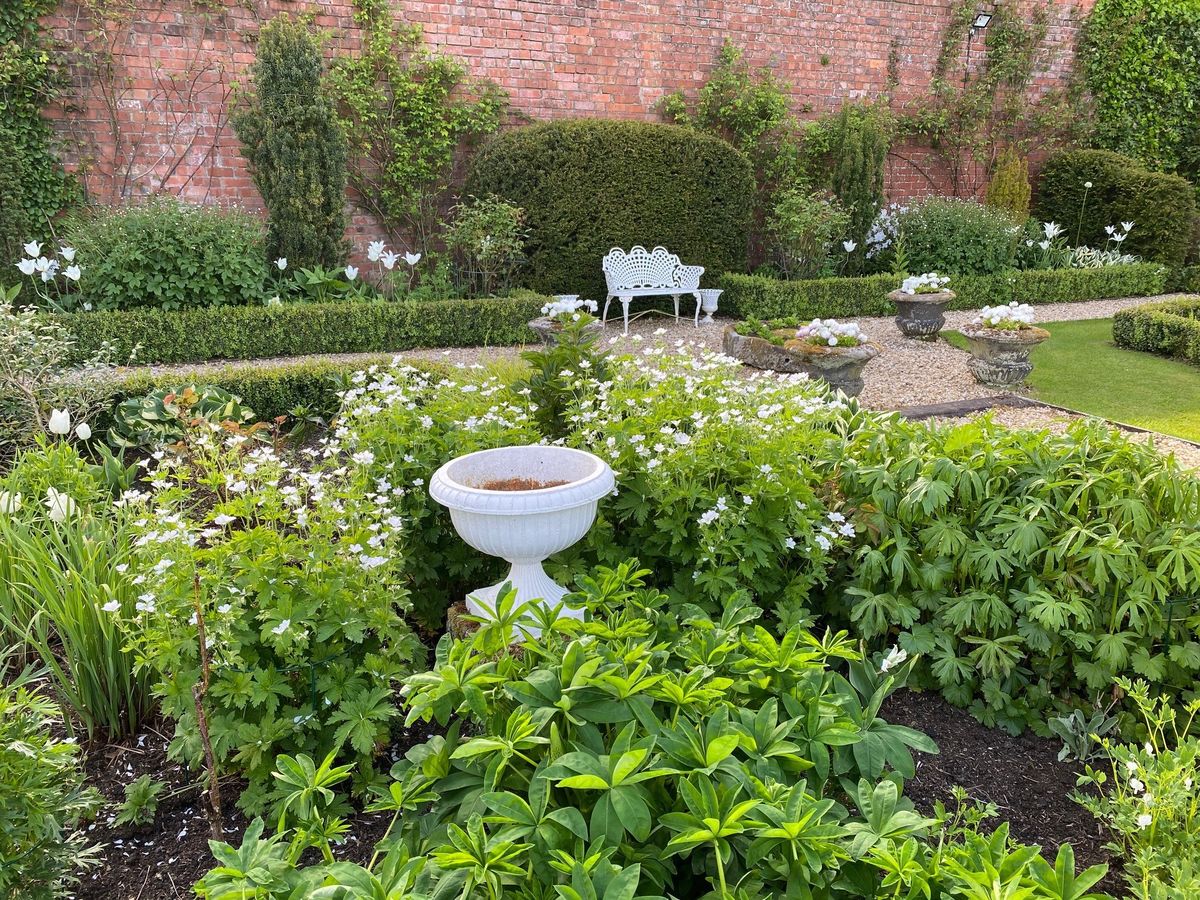 Gardener's Cottage Walled Garden: White garden
