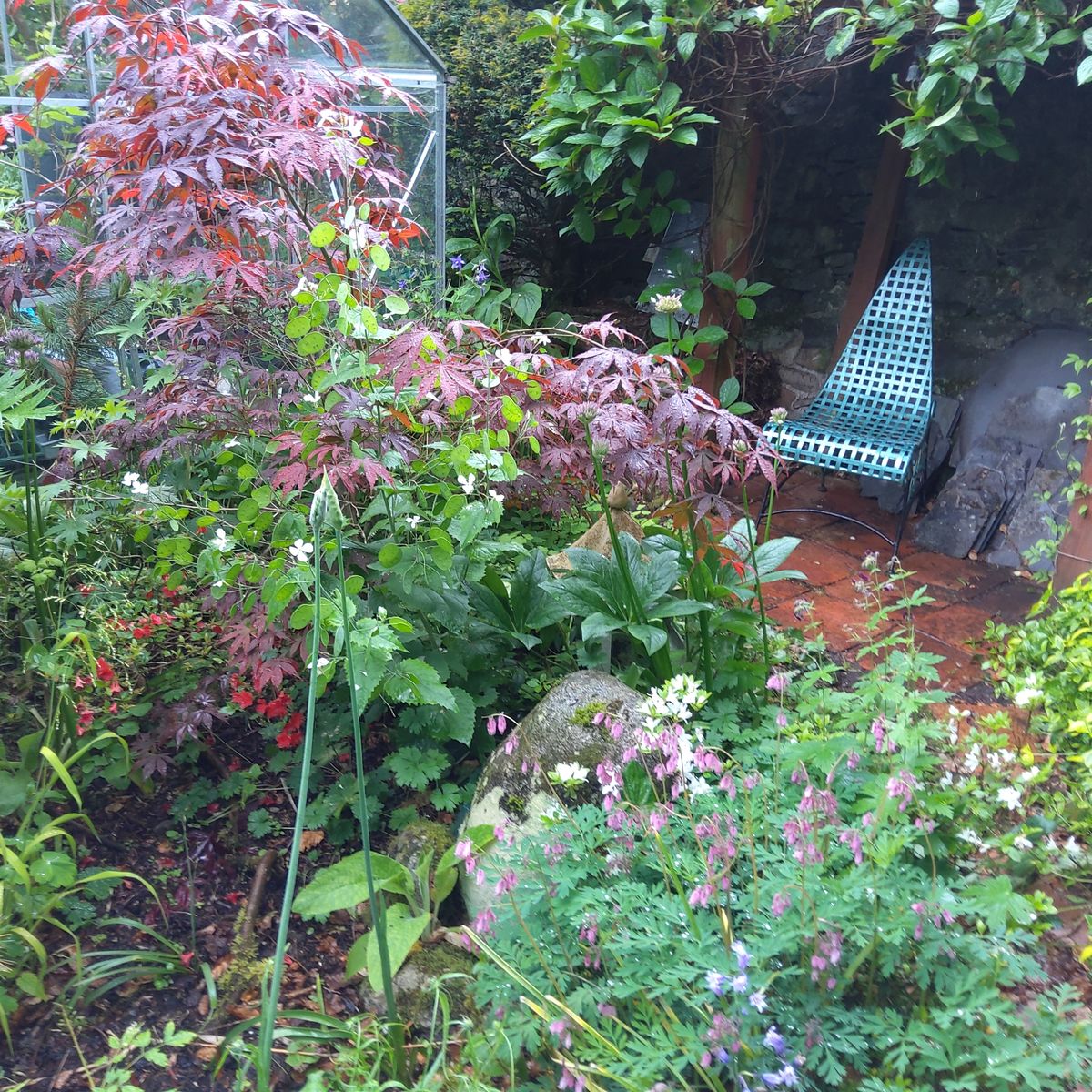 Fernlea Garden