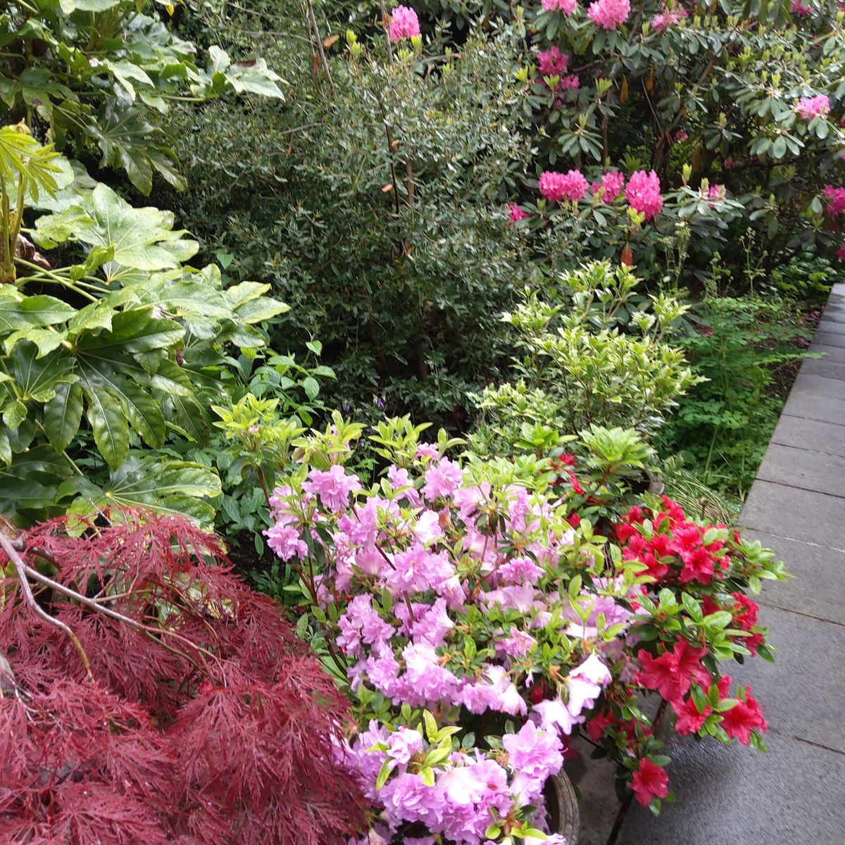Fernlea Garden