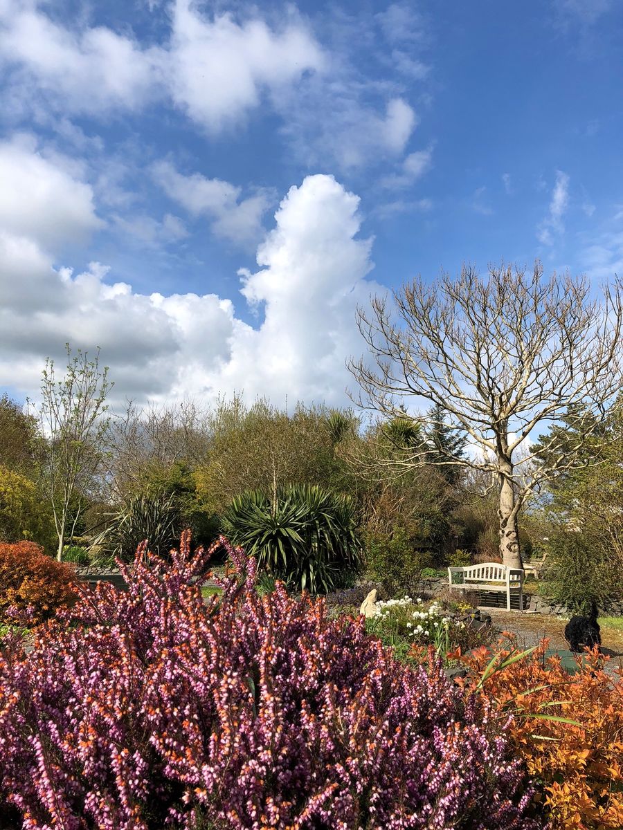 Aldouran Wetland Garden