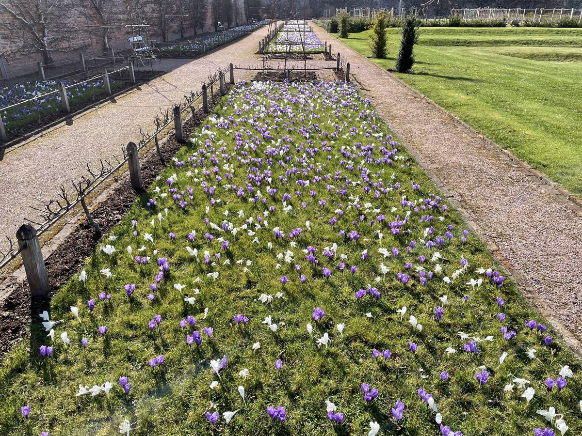 Gordon Castle Walled Garden