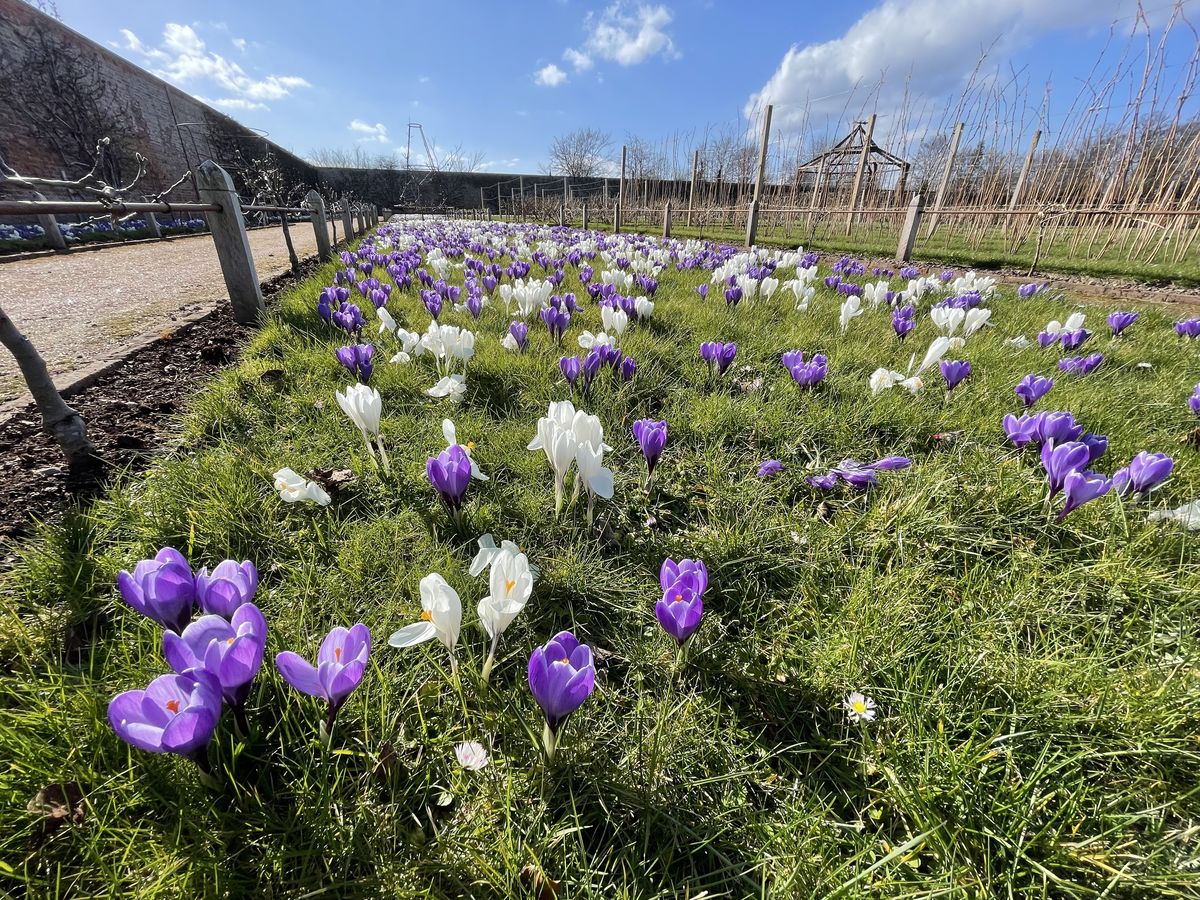 Gordon Castle Walled Garden