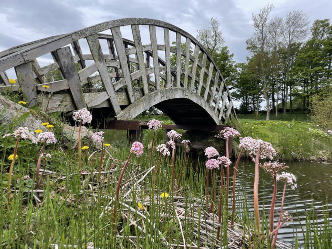 Burgie Arboretum