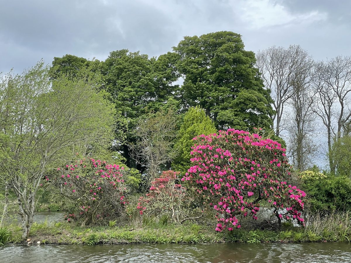 Burgie Arboretum