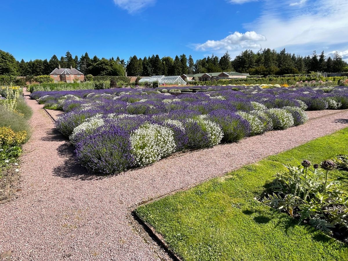 Gordon Castle Walled Garden