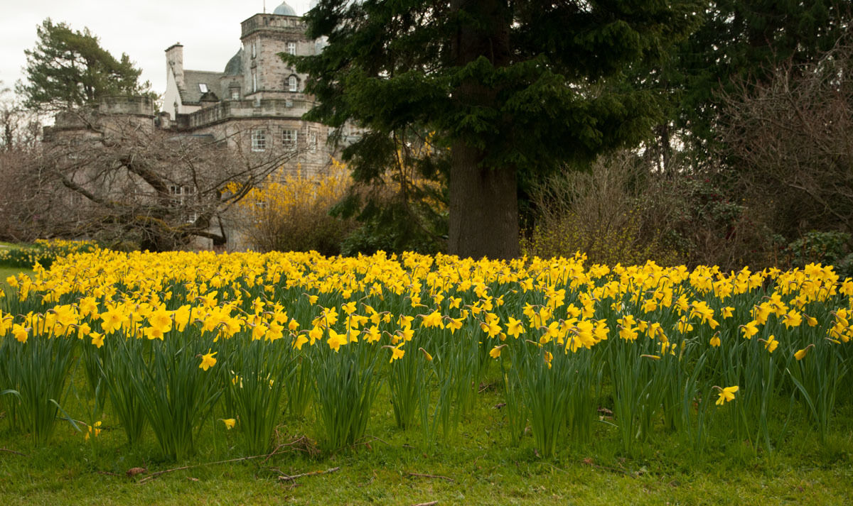 Winton Castle