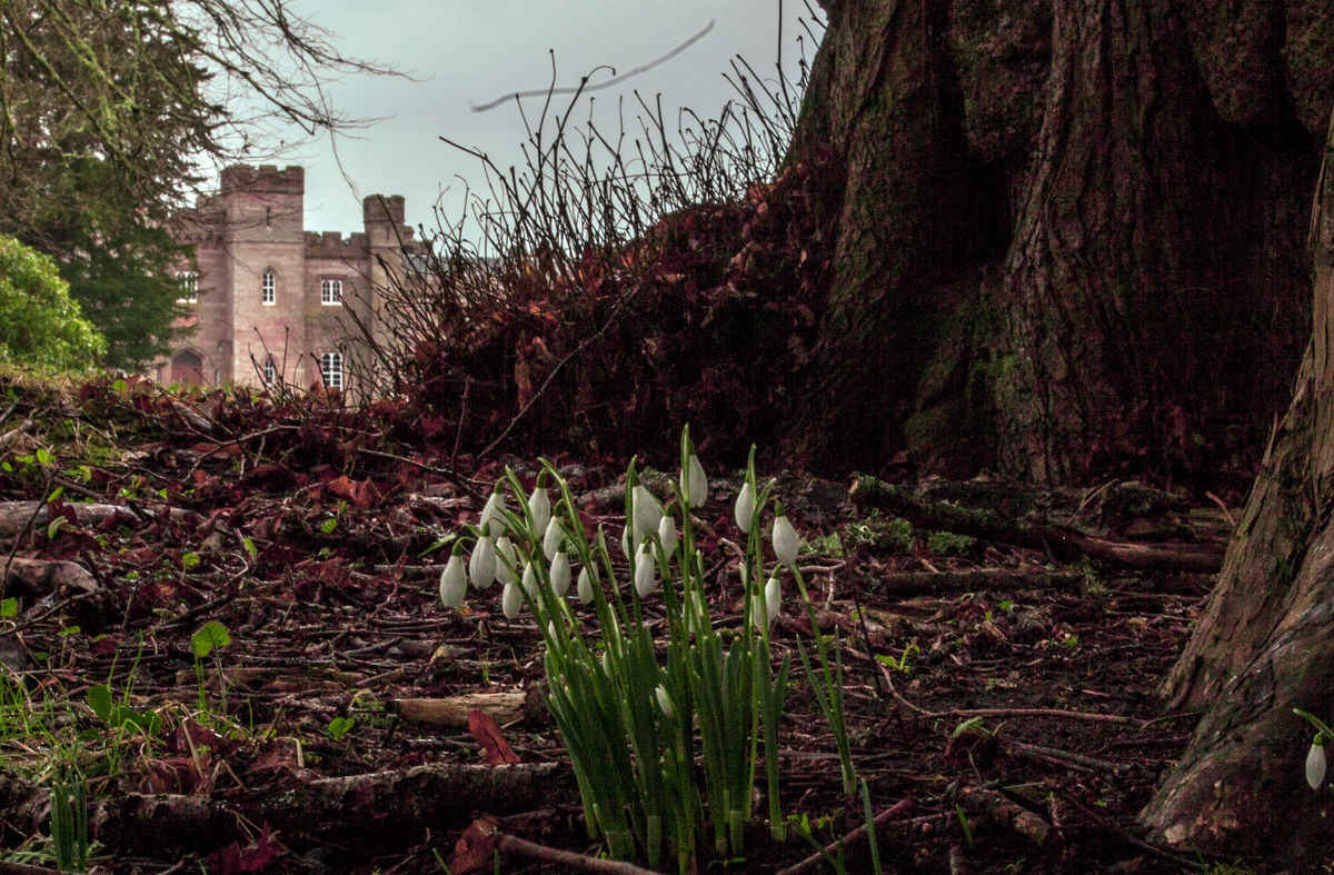 Scone Palace Garden