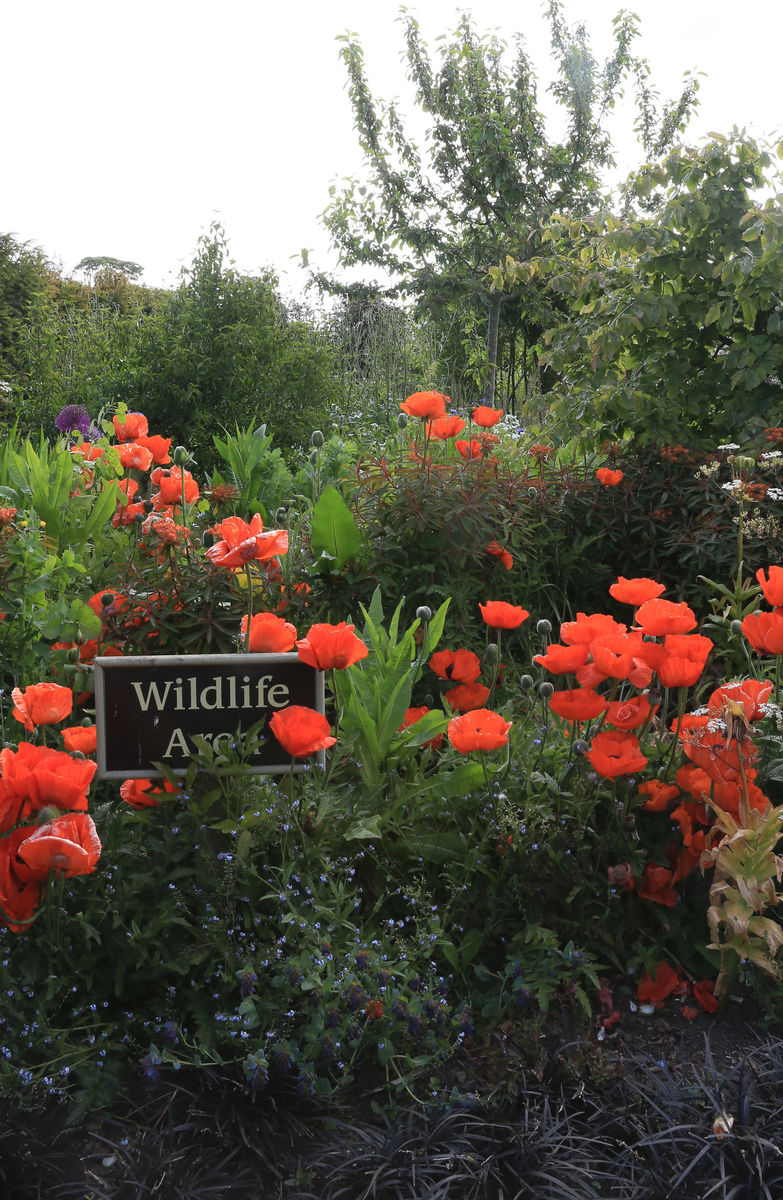 The Gardens at Archerfield Walled Garden
