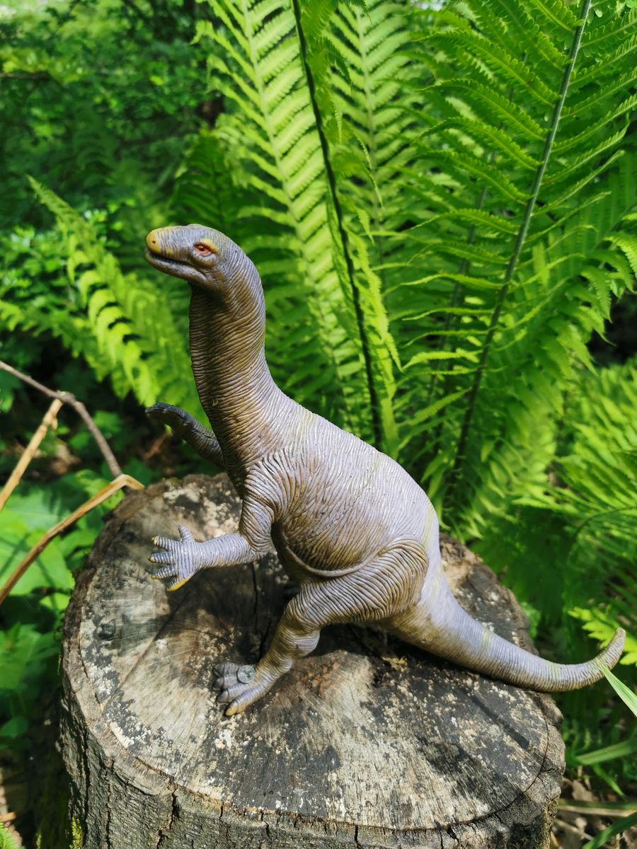 Barrmill Community Garden