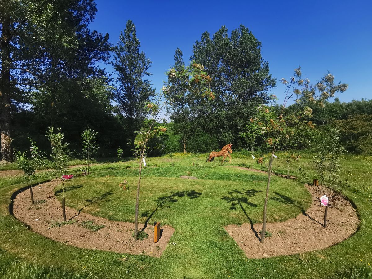 Barrmill Community Garden